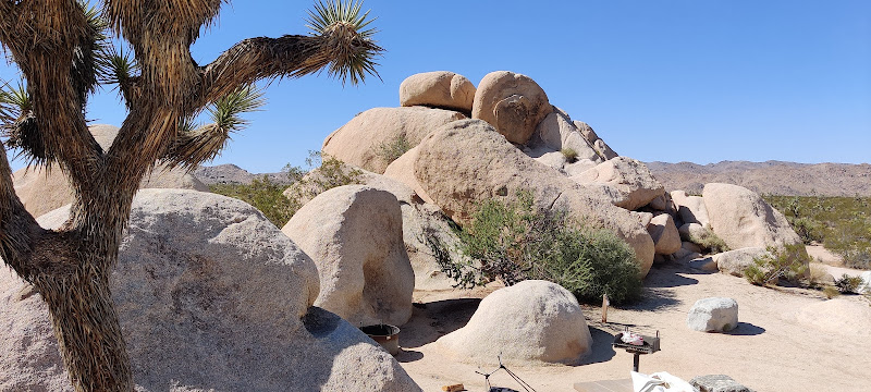 Jumbo Rocks