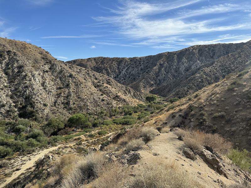 Big Morongo Canyon Preserve